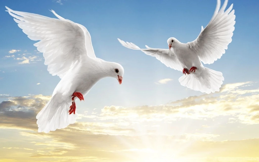 Hd Wallpapers For Windows 7 Laptop Nature Widescreen Ultimate Free ...