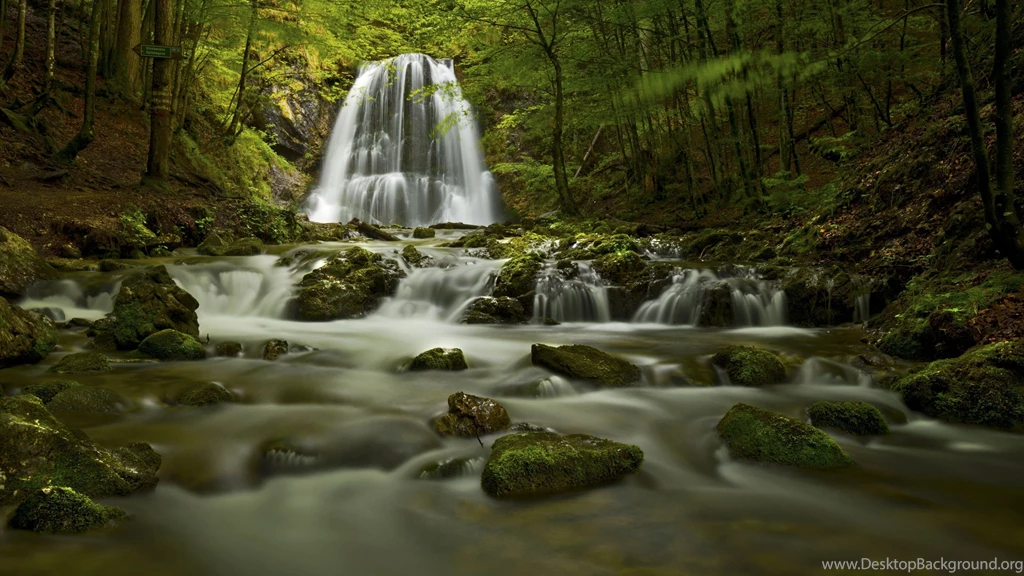 Beauty Of Nature 4K Gallery Wallpapers :: HD Wallpapers