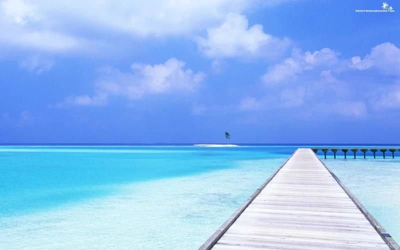 Blue,water Water Blue Ocean Sand Trees Dock Palm Skyscapes ...