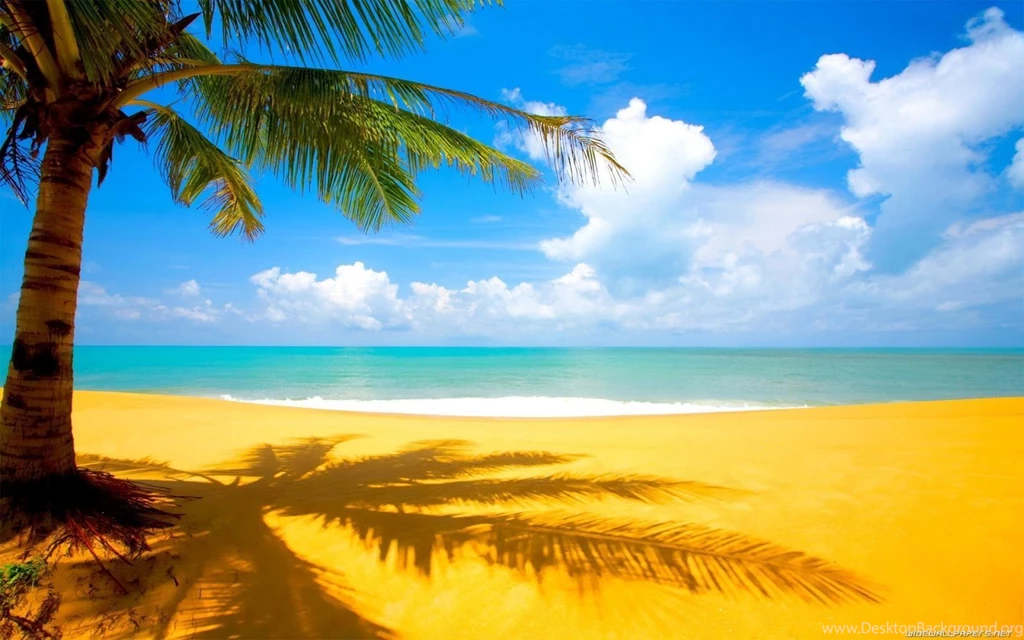 Beautiful Beach View Full HD Nature Backgrounds Wallpapers For ...