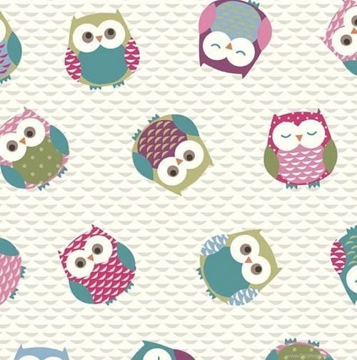 Owls Wallpaper/Backgrounds