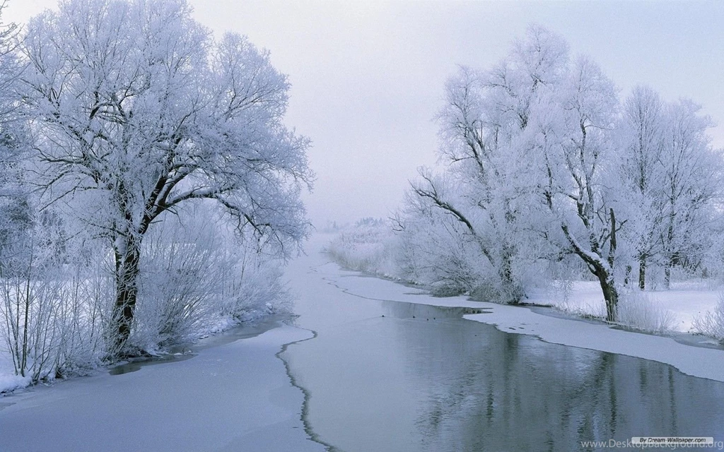 Free Wallpapers Free Nature Wallpapers Winter Wonderland 10 ...