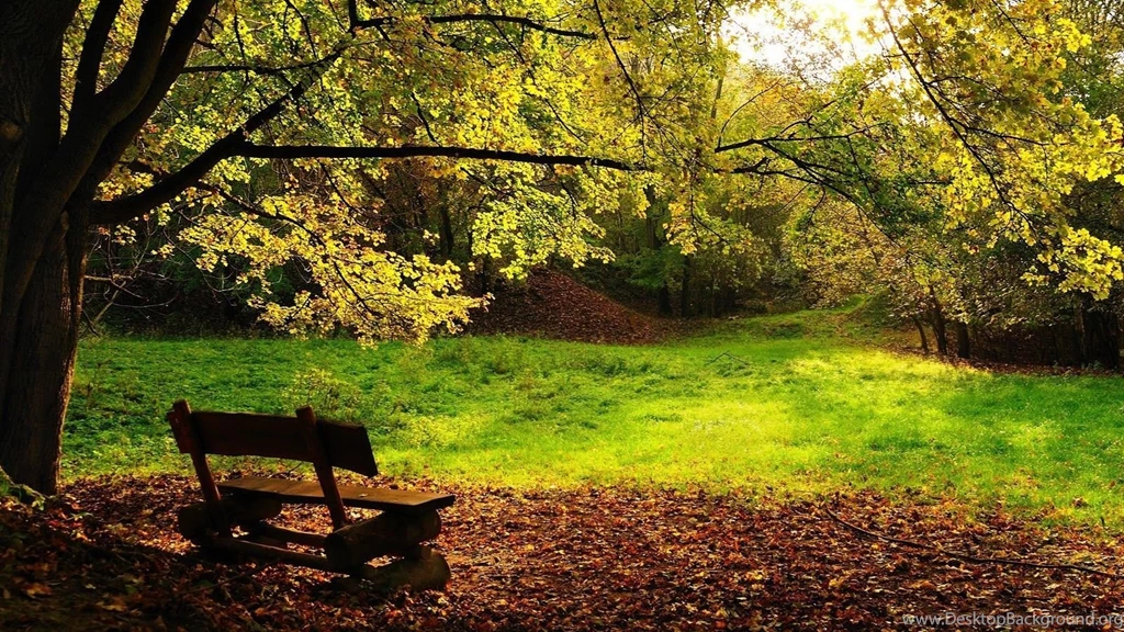 TOP WALLPAPERS HIGH DEFINITION 1920X1080 NATURE WAS002