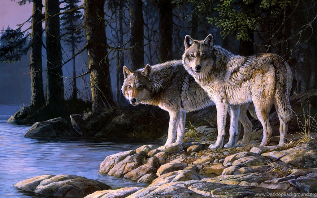 Wolf Computer Wallpapers, Desktop Backgrounds