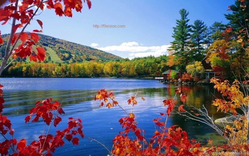 Nature Background Picture Free Download.jpg
