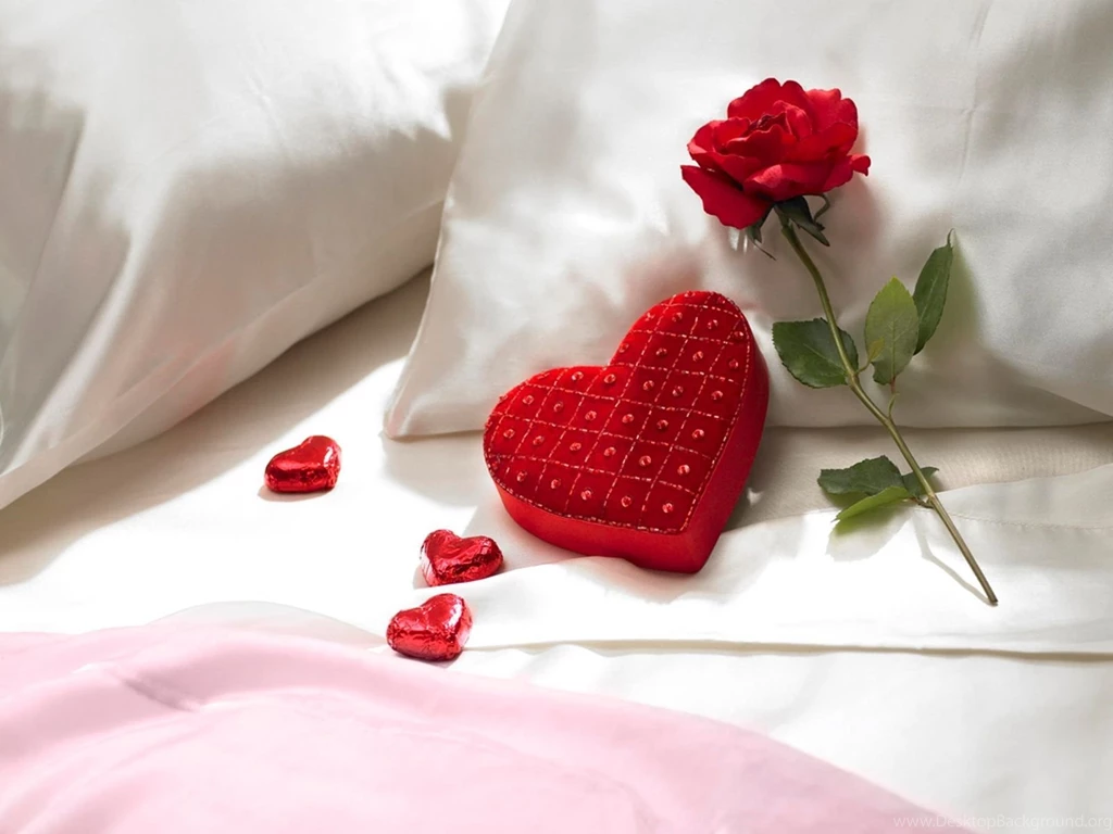 Red Rose Flowers Wallpapers