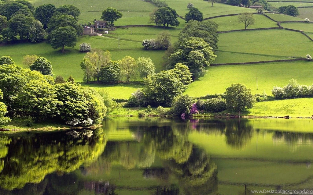 Nature: Nature Photography