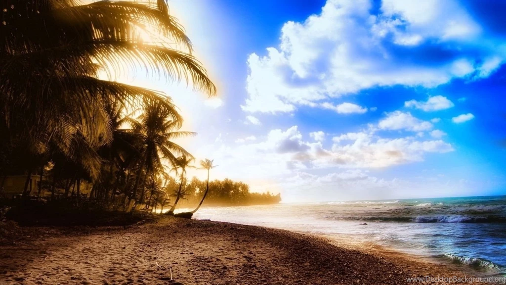 1366x768 Beach Summer Palms Wallpapers