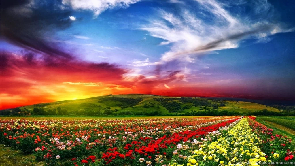 Full Hd Wallpapers Free Download Wallpapers HD Wide