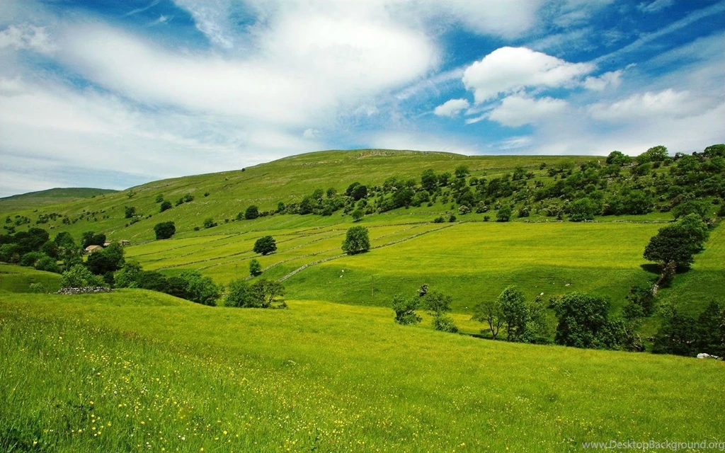 Best Nature Wallpapers Cool Wallpaper Backgrounds HD ...