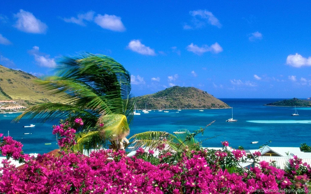 Wallpapers Desktop Widescreen Wallpapers HD Wide
