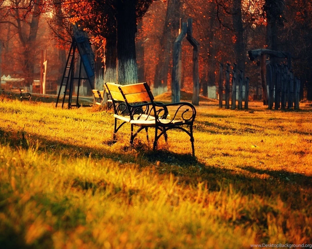 Golden Autumn Park Nature Landscape, Lawn Bench Sun Wallpapers ...