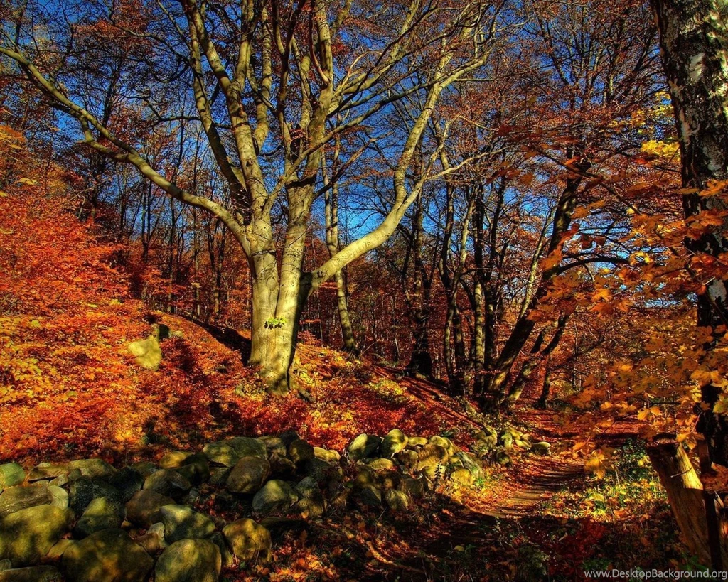 Fall Color Autumn Wallpapers 1280x1024 NO.20 Desktop Wallpapers ...