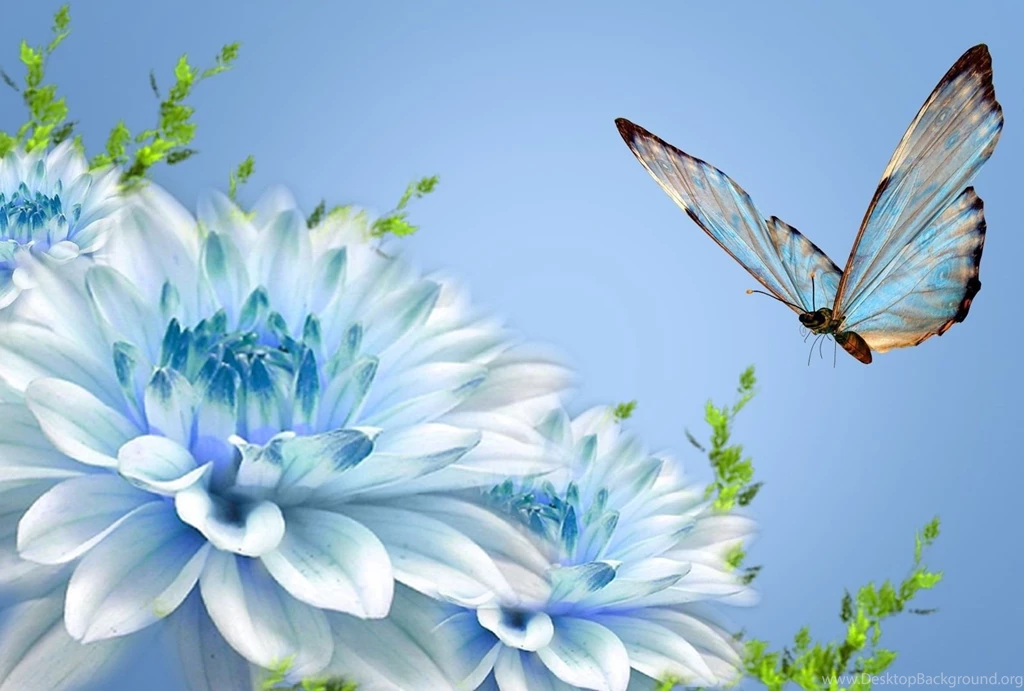 Butterfly Nature Wallpapers Desktop Backgrounds