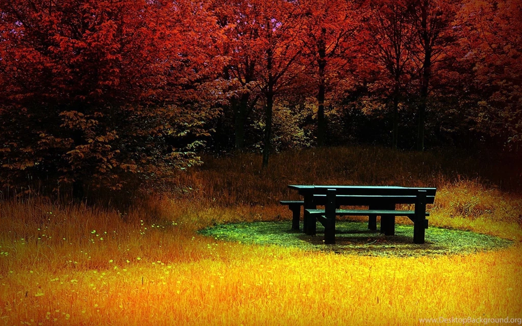 Nature Wallpapers Hd