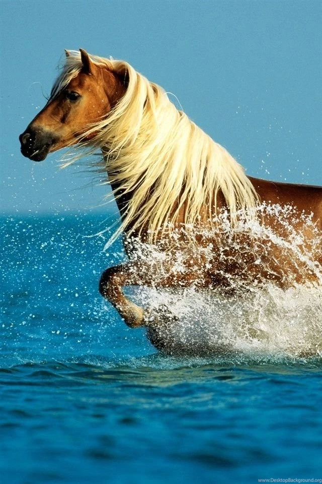 Top Running Iphone Wallpaper Images For Pinterest