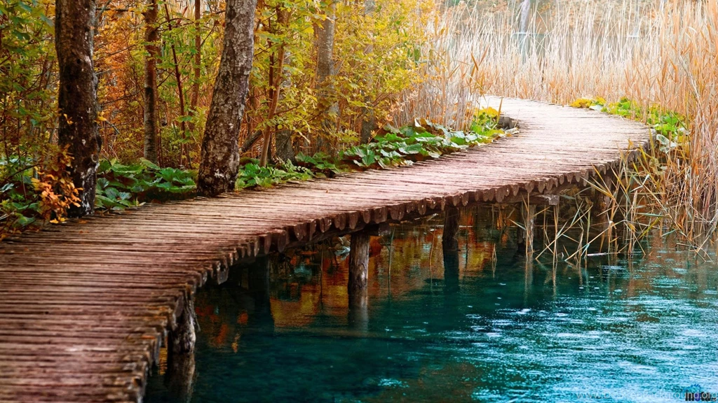 Download Wallpapers Bridge Over The Lake In The Forest (1920 X 1080 ...