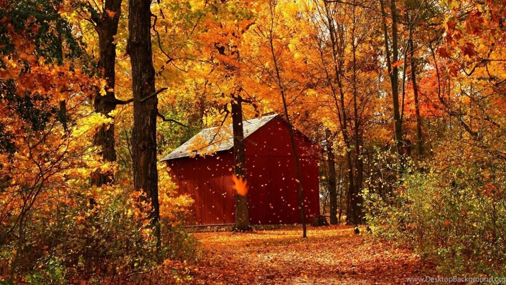 Download Wallpapers 1366x768 Leaf Fall, Autumn, Garage, Wood, Trees ...