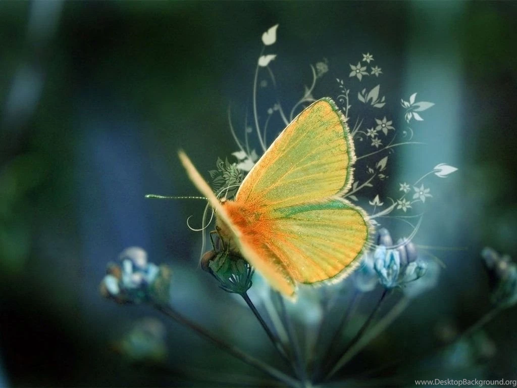 High Quality Wallpaper HD Free Download 1 1024x768.jpg