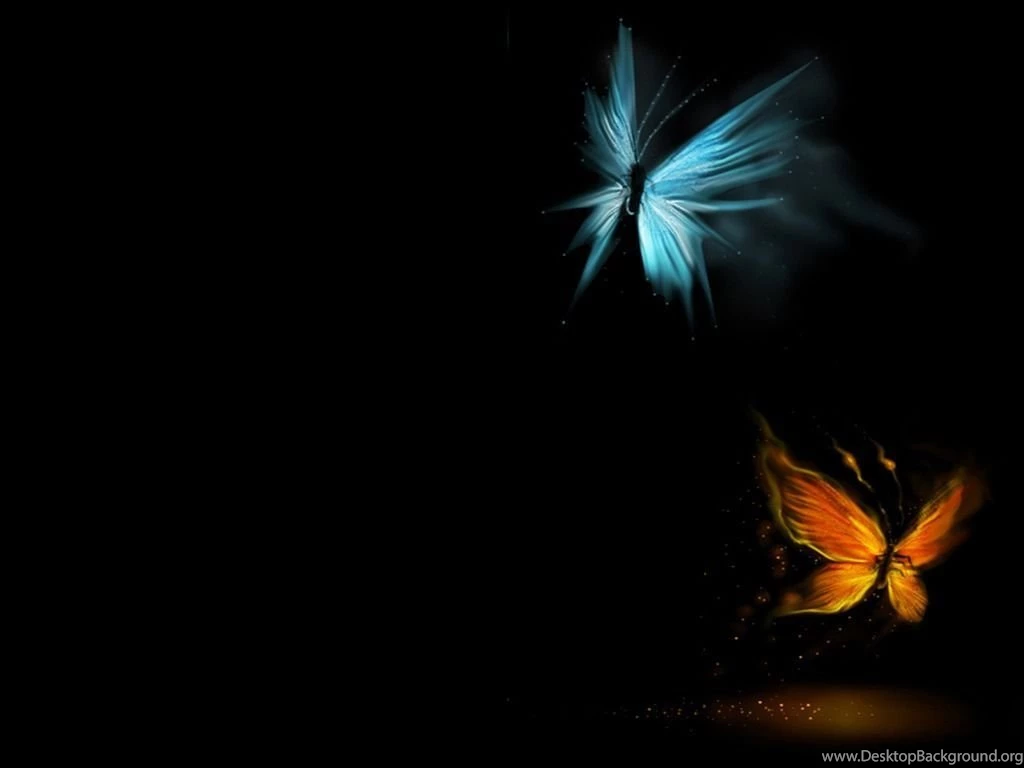 Top Black Butterfly Wallpaper Images For Pinterest Desktop Background