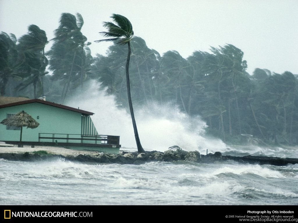 Florida, Hurricane Winds, 1973, Photo Of The Day, Picture ...