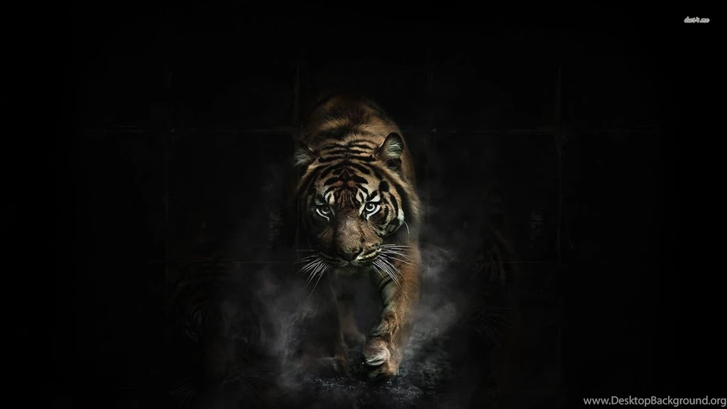 Tiger In The Shadows Wallpapers Digital Art Wallpapers