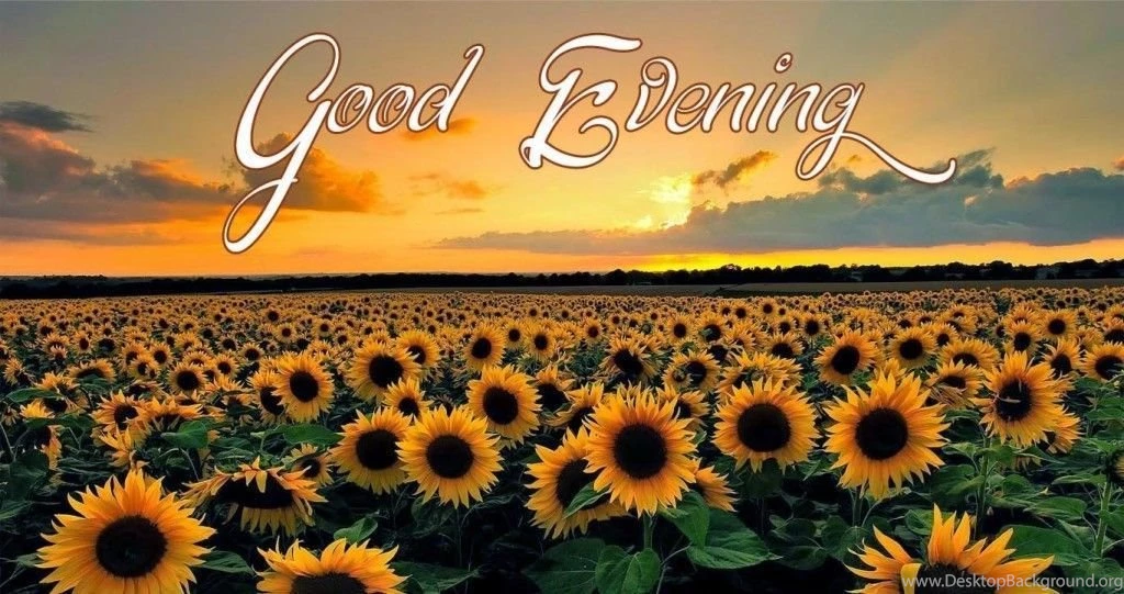 Good Evening Unique Wallpaper 2 1024x541.jpg