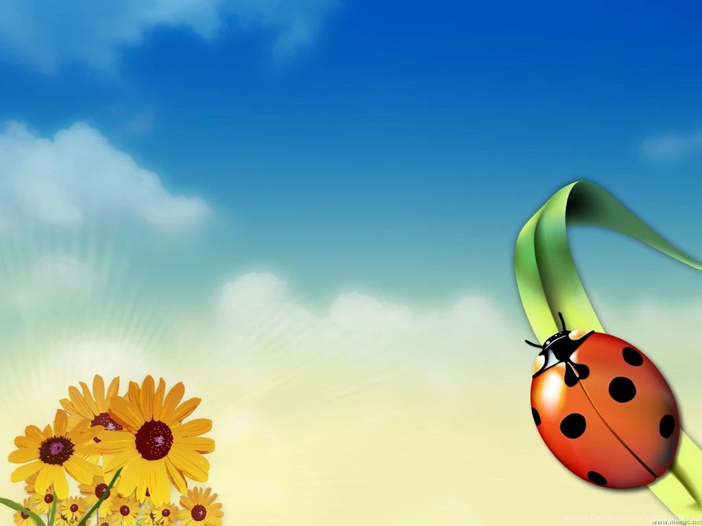 Top Summertime Wallpaper Images For Pinterest