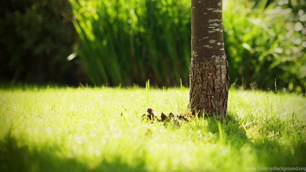 Relaxing Music: Relax With Peaceful Music & Nature Wallpapers ...