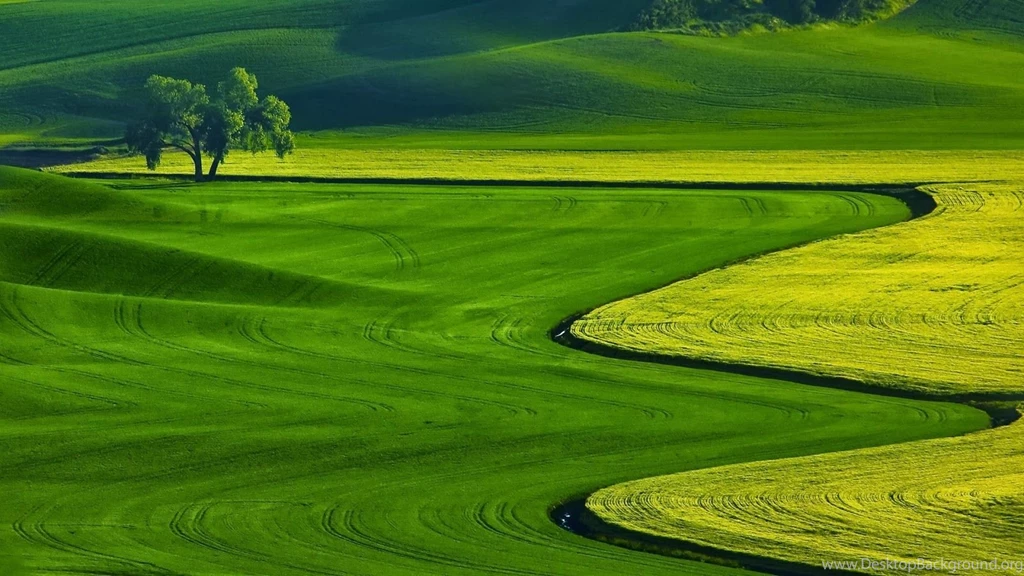 Qualitative World Wallpaper: Nature Wallpapers Hd 1080p Free ...