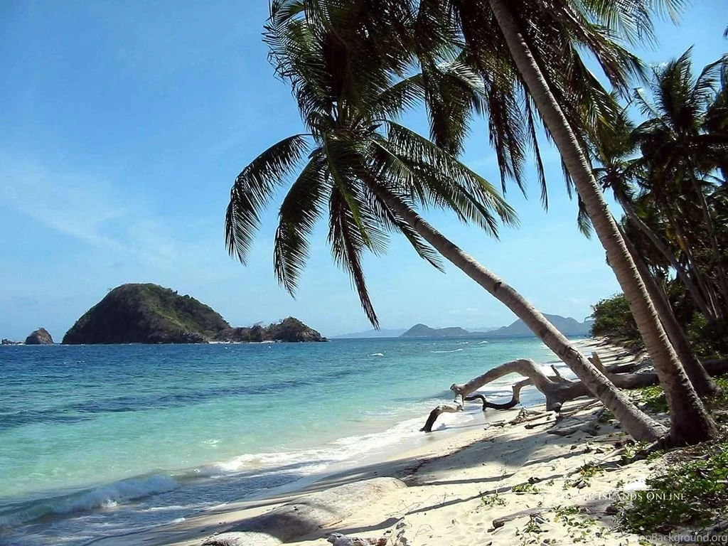 Top Source Url Httpwallpaperstocknethorse Nature Images For Pinterest