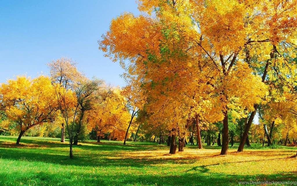 Beautiful Natural Wallpapers For Desktop