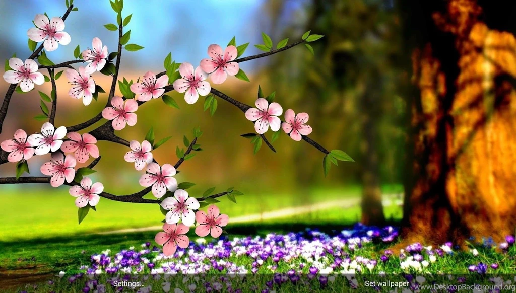 Desktop_wallpaper_hd_3d full_screen_flowers 2.jpg