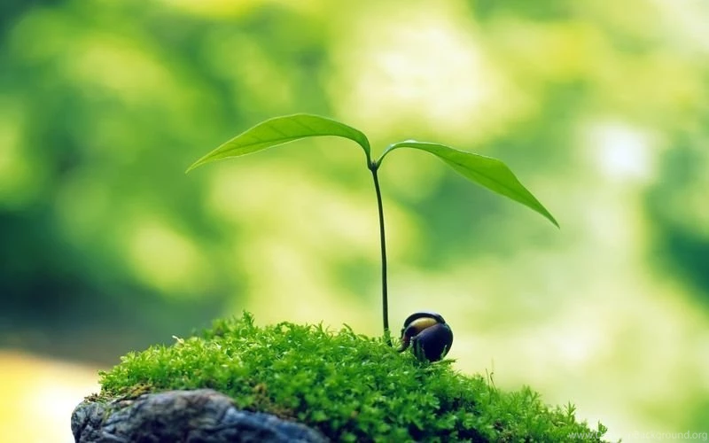 Nature Wallpapers HD Landscape Pictures