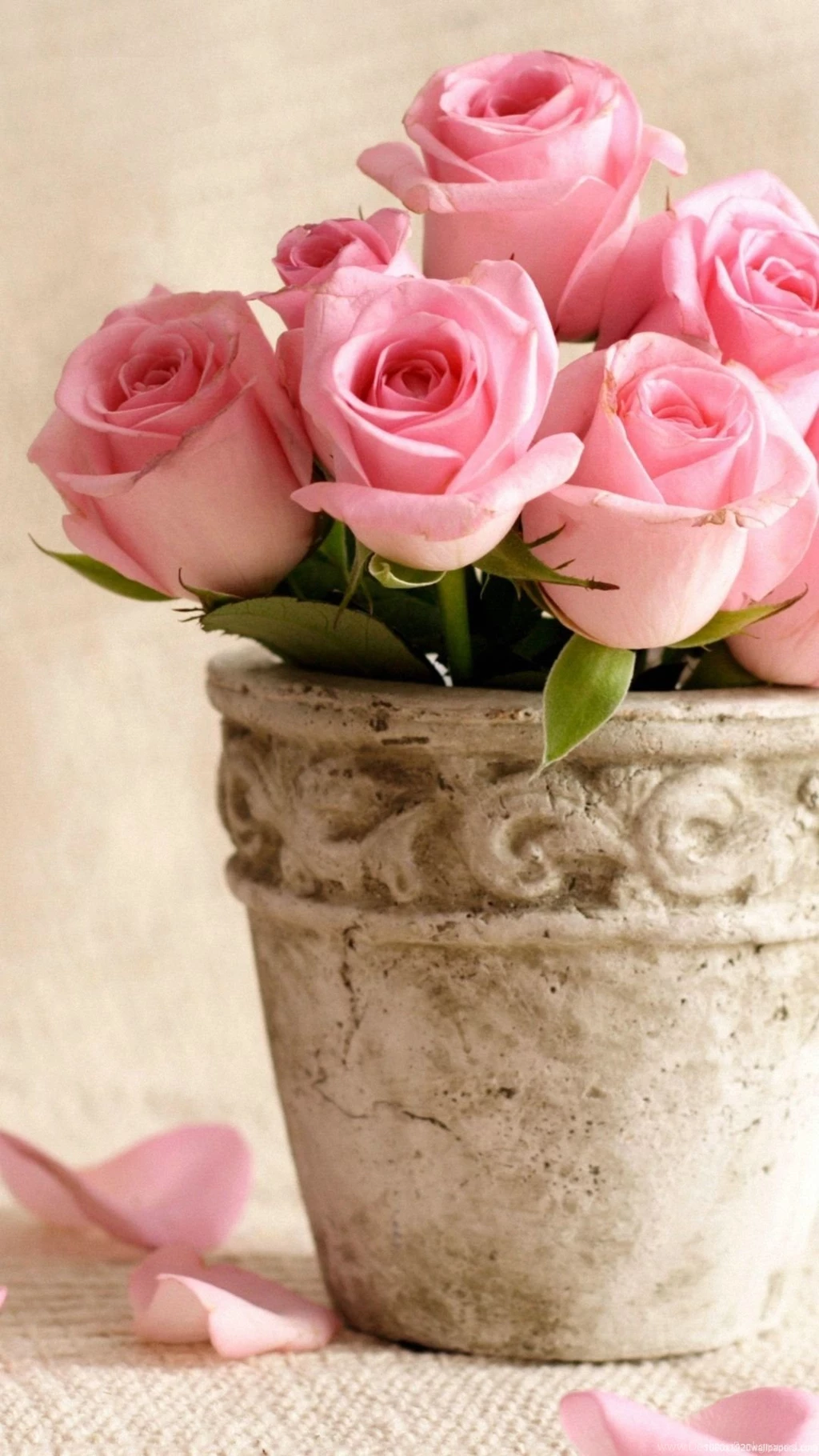 1080x1920 Rose Flowers Wallpapers HD