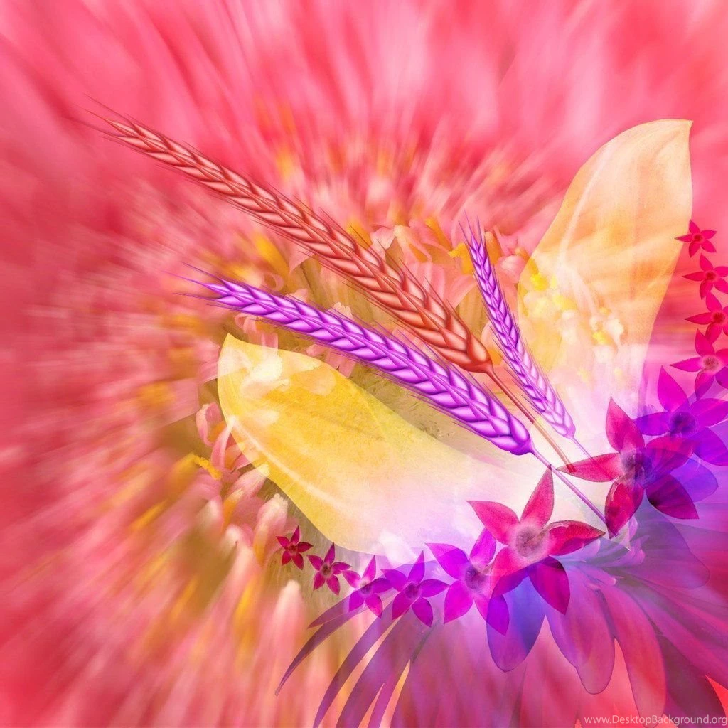 Beautiful Painted flowers HD Wallpapers 1024x1024 02.jpg