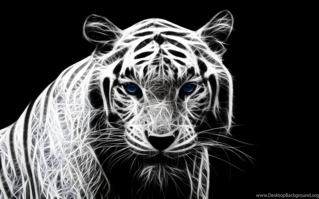 White Tiger Backgrounds HD Wallpapers Attachment 6694 Amazing ...