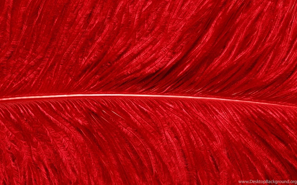 Red wallpaper 10.jpg
