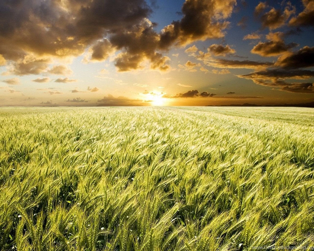 Nature Backgrounds For Mac