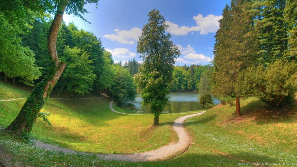 Hd Wallpapers 1920×1080 Nature Black Wallpapers For Desktop