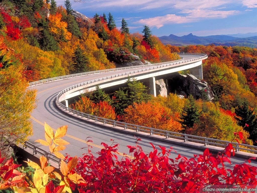 Autumn Road Wallpapers Crazy Frankenstein