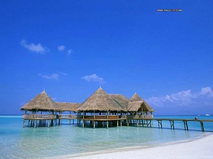 Maldives Pictures Maldives Beach Wallpaper10 Wallcoo.net
