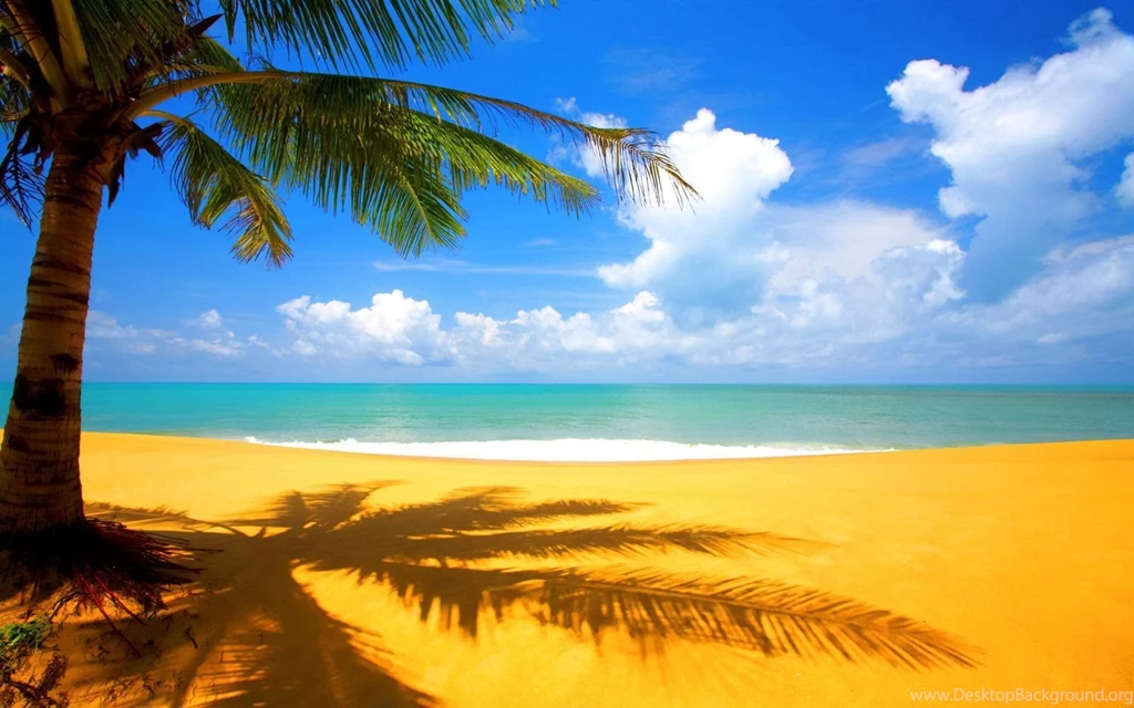 Golden Sand Beach Wallpaper.jpg