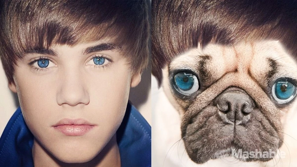 Justin Bieber Wallpapers HDWall.id