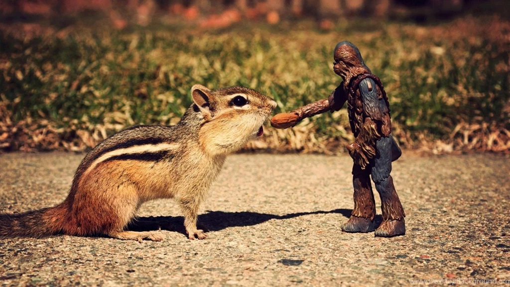 Animals Peanuts Chewbacca Chipmunks Action Figures Wallpapers