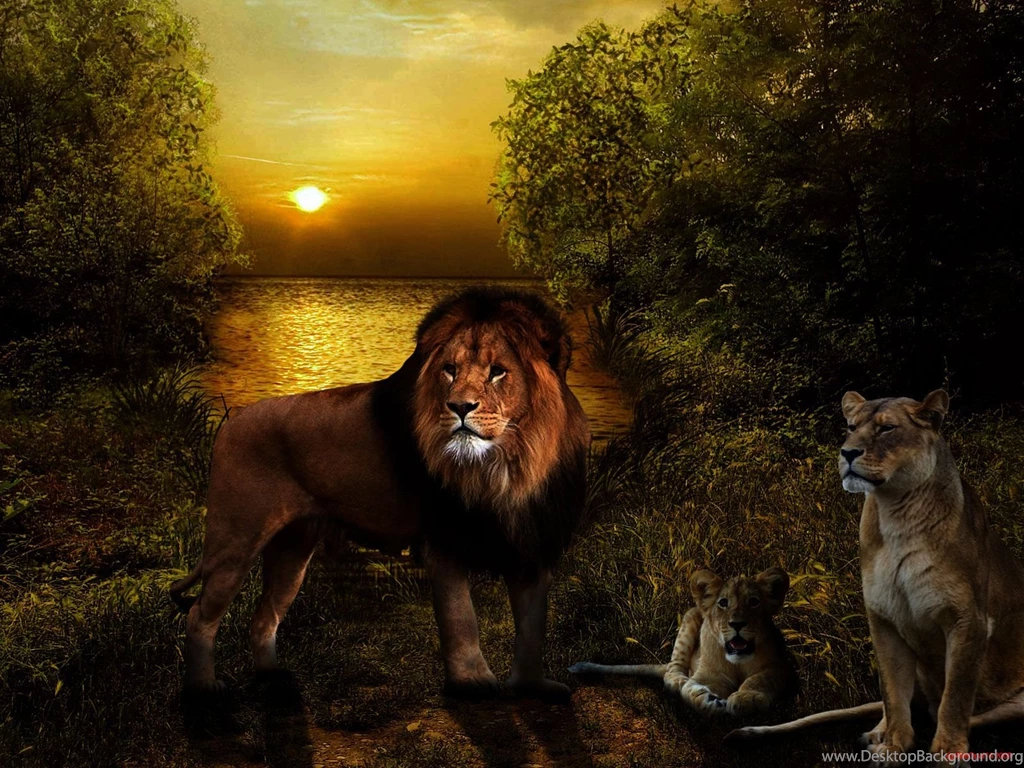 Angry Lion Wallpapers Archives HDwallpaper4U.com