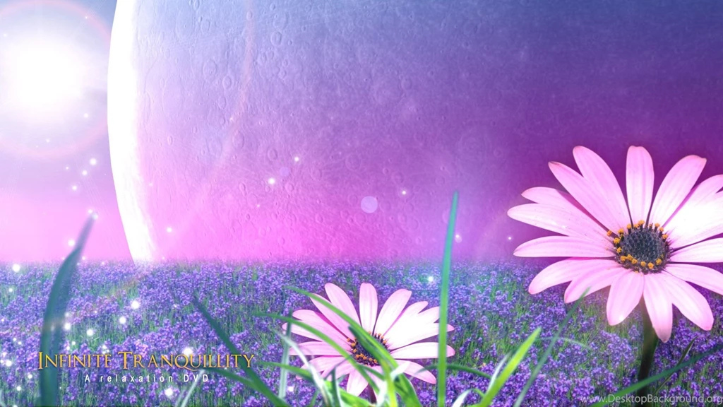 Flowers Wallpapers 158353