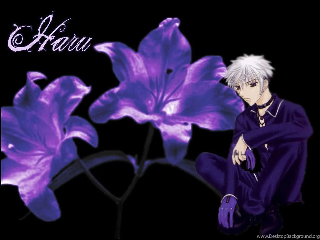 Fruits Basket Wallpapers Fruits Basket Wallpapers (19852179) Fanpop