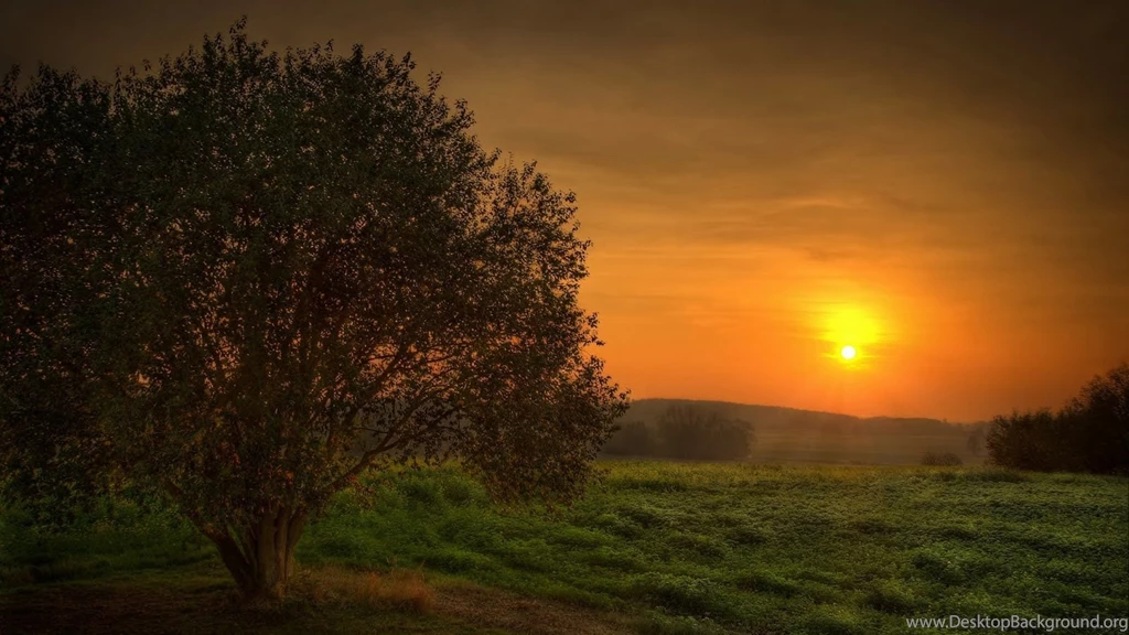 Mac Nature Wallpapers