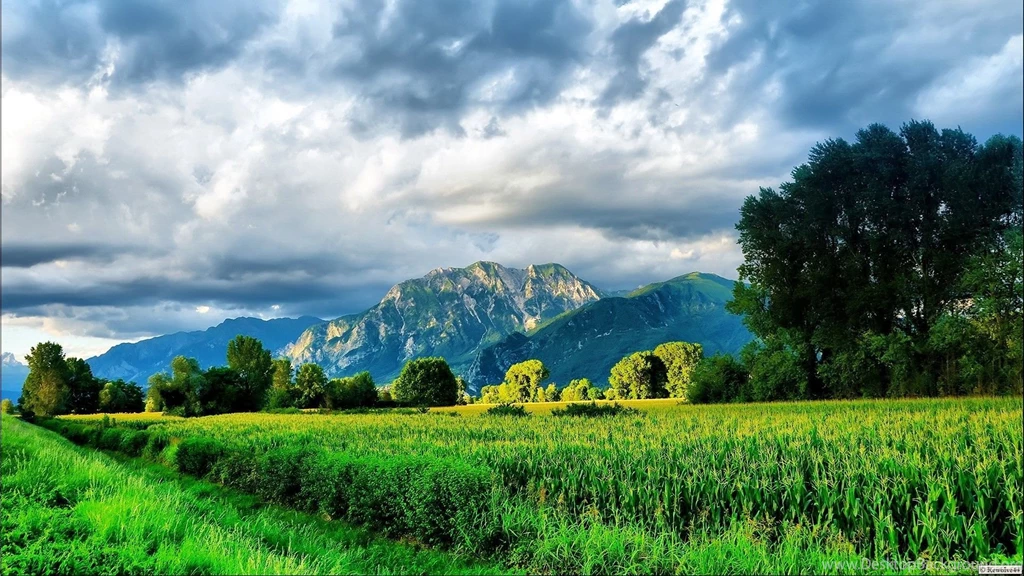 Full Hd Nature Wallpapers Pack Free Download